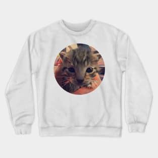 Anxious floppy cat Crewneck Sweatshirt